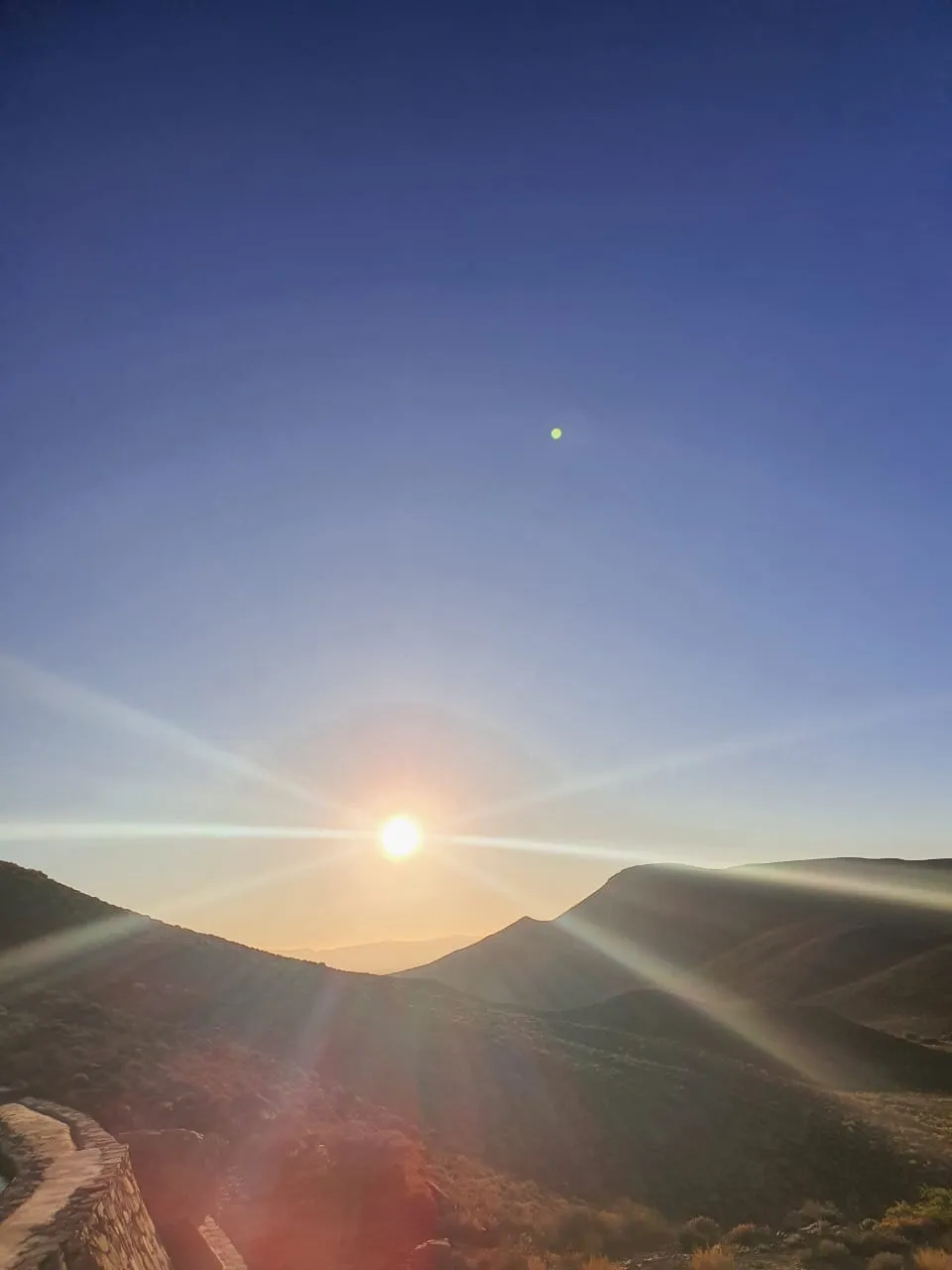 Desert festival cover